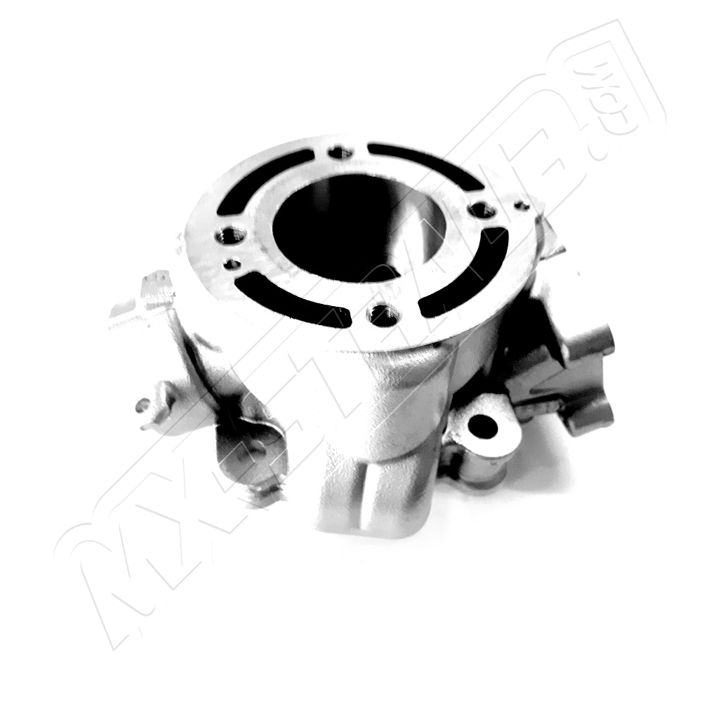 Original Zylinder KX65 2000-2020 Original Zylinder KX65 2000-2020